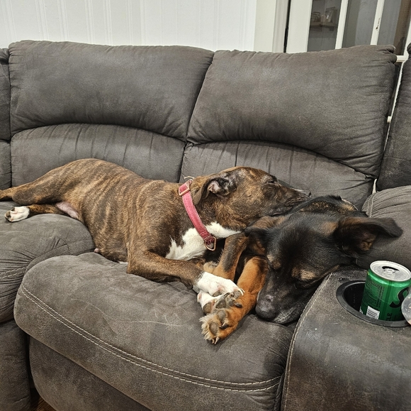 LIVE SHOW FLYER- Update🚨🚨 - Picture 16 of 17